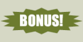 Bonus!